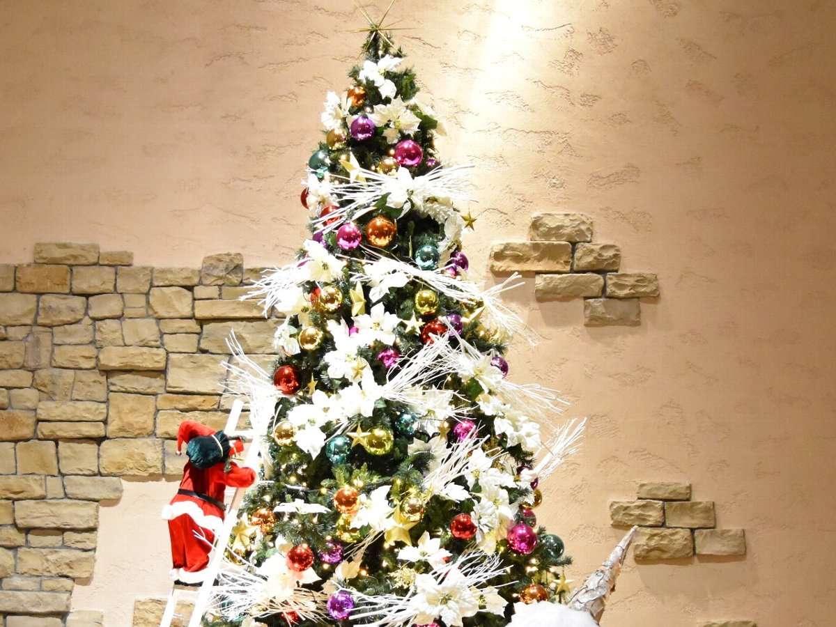 クリスマスも東京ディズニーリゾート® 宿・ホテル予約 - じゃらんnet
