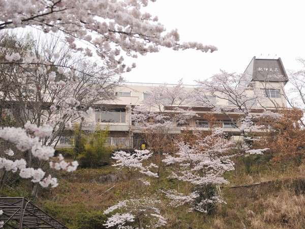 春には桜に囲まれ、テラスからの眺望は格別です。