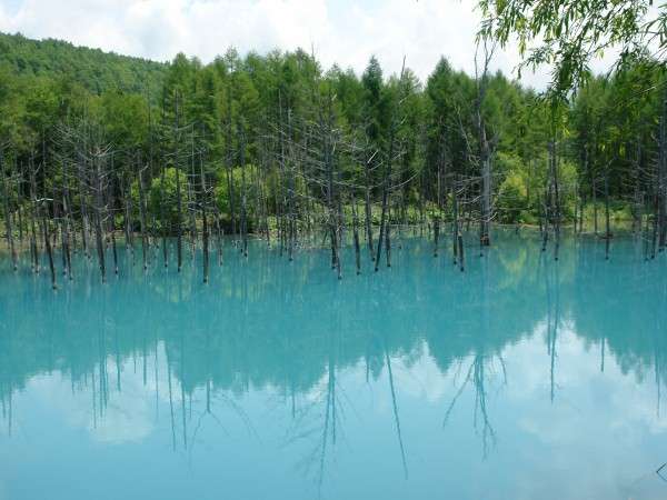 当館から約3㌔に位置する人気の「青い池」