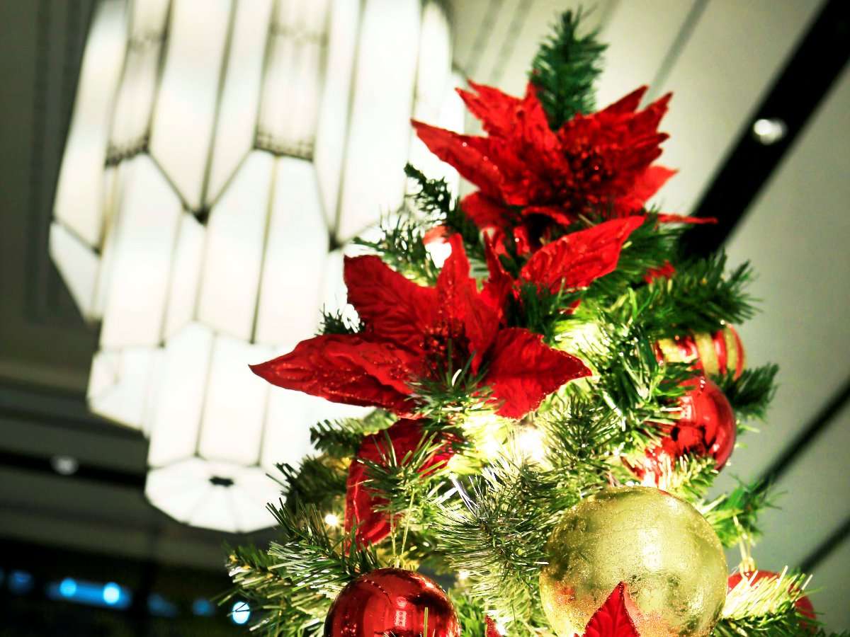 �z�e���g���X�e�B�v���~�A���{���l���i2019�N9��12���n�o�d�m�j