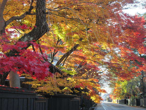 紅葉シーズンも美しい『角館武家屋敷』までお車で約30分♪