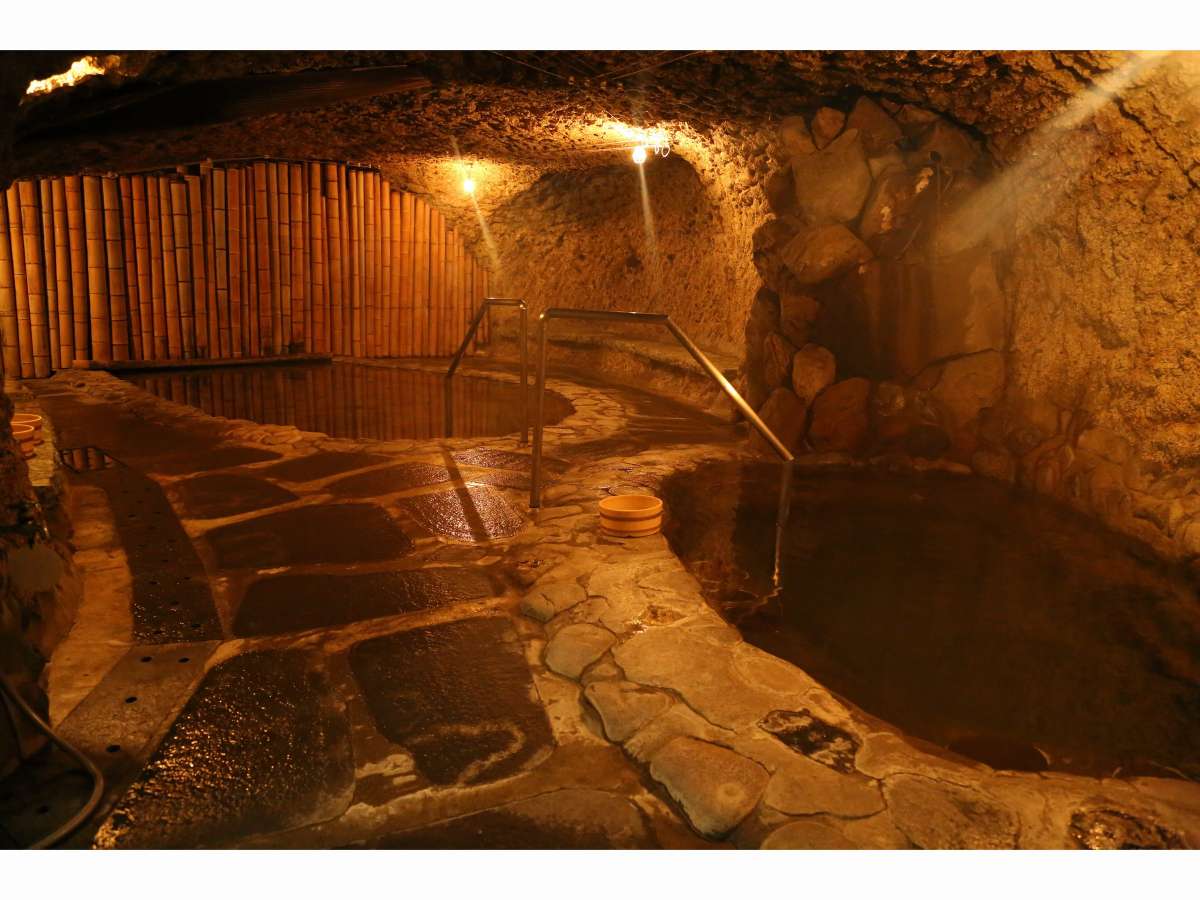 �u�n�Ǝ҂������ȓd���h������{�ŉ��N�������Č@��グ����A���C�v