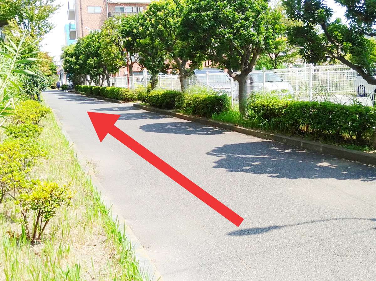 Surroundings・Views