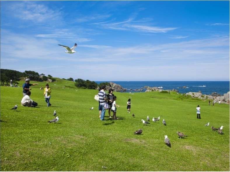 環境・風景