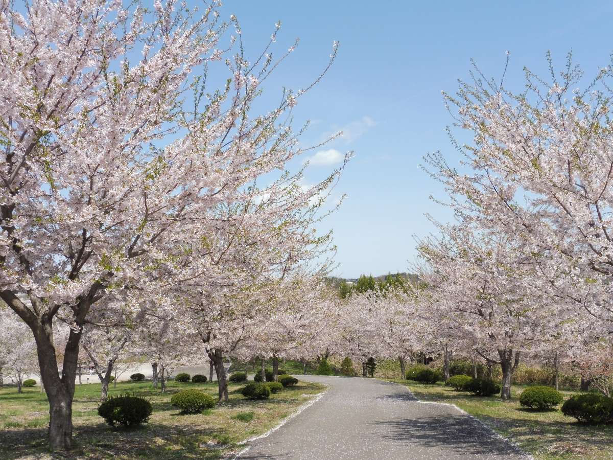 環境・風景