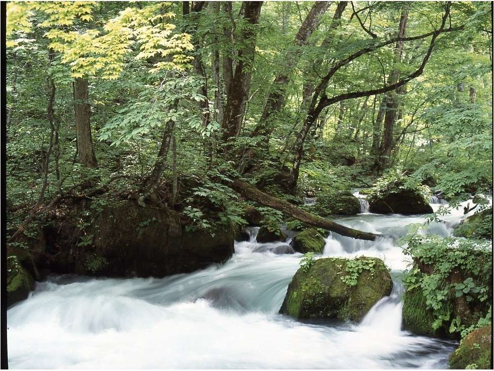 環境・風景