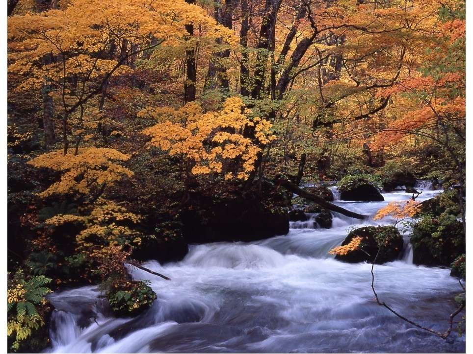 環境・風景
