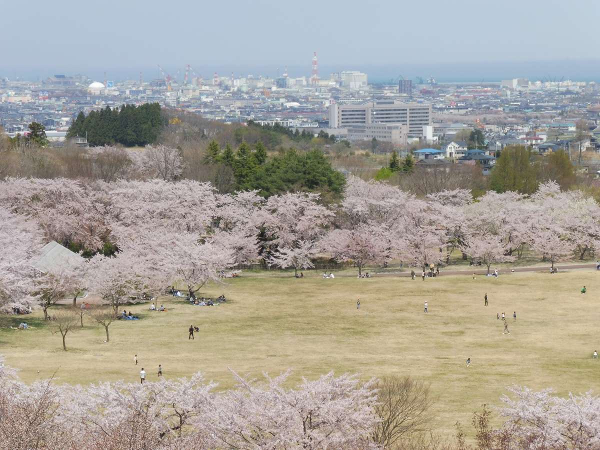 環境・風景