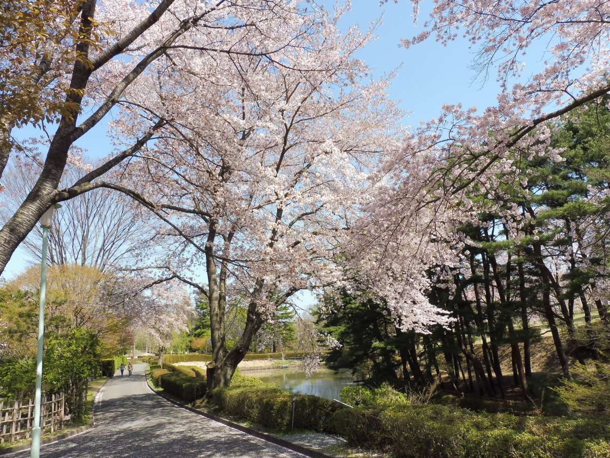 環境・風景