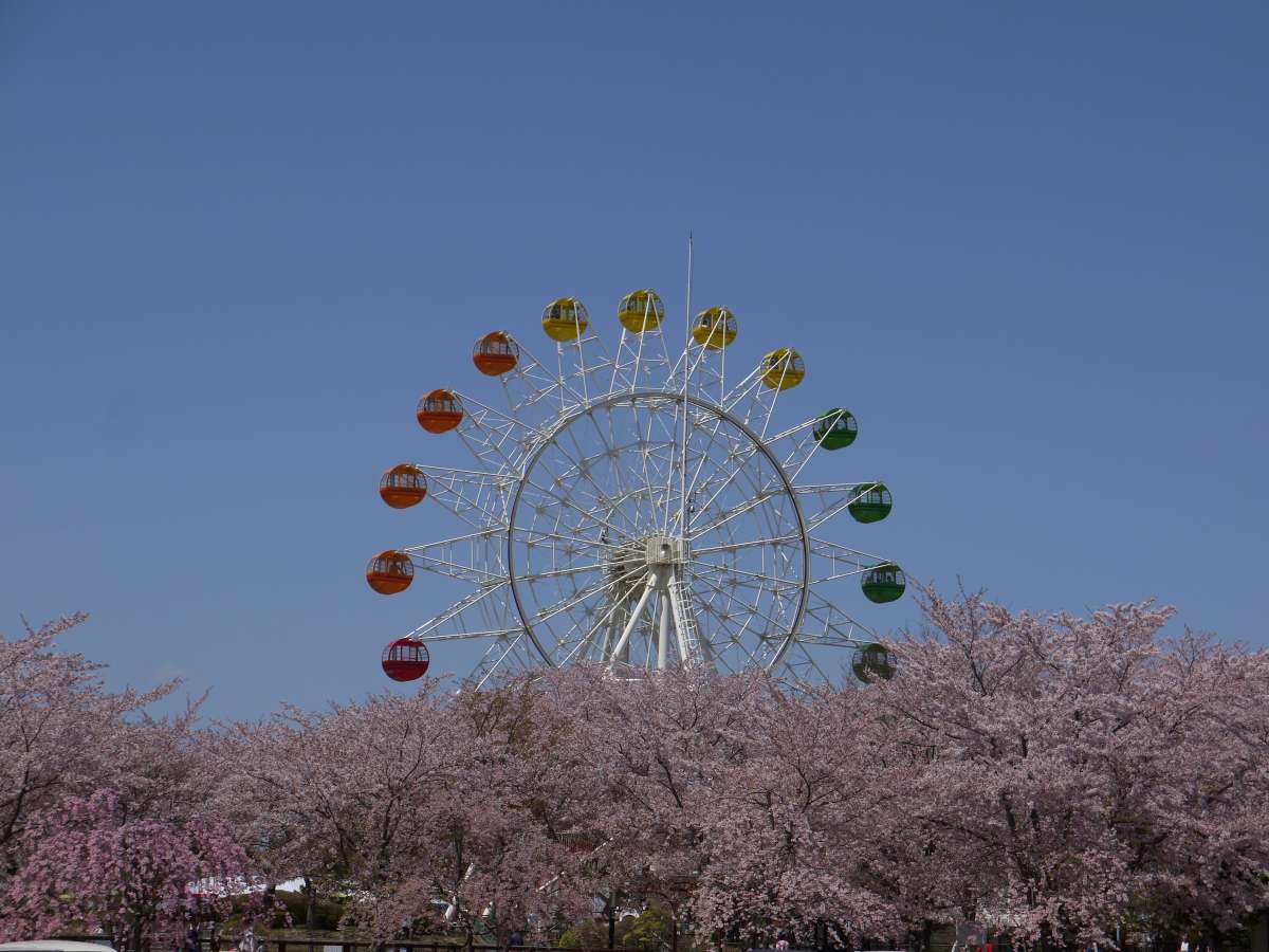 環境・風景