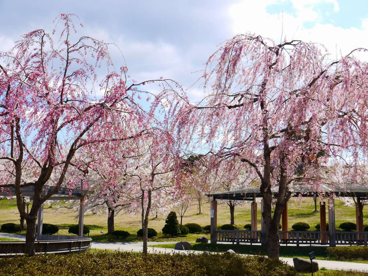 環境・風景