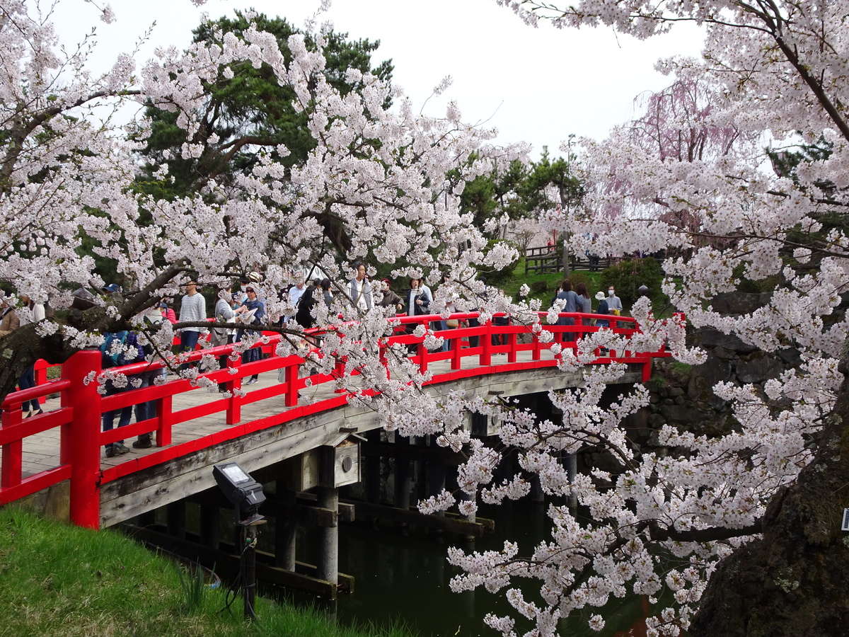 環境・風景