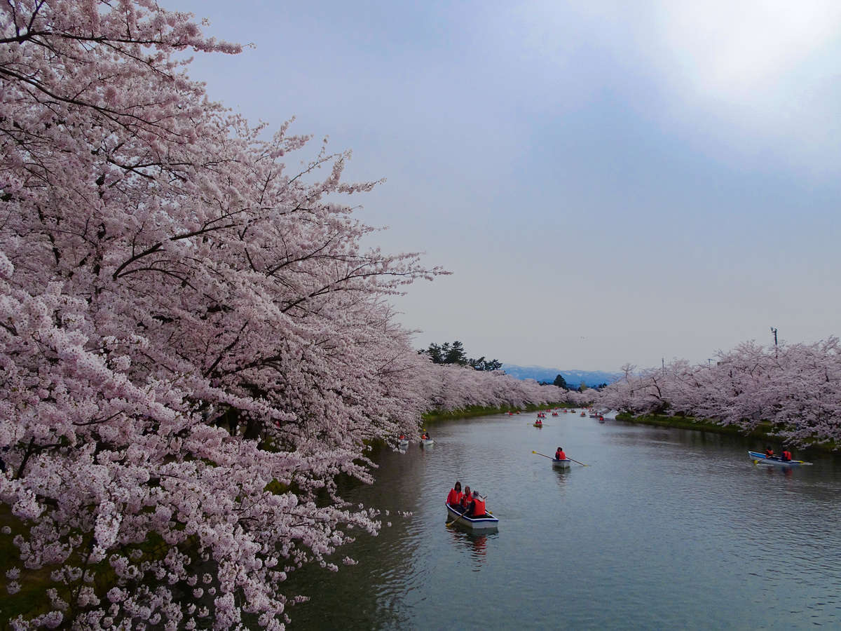 環境・風景