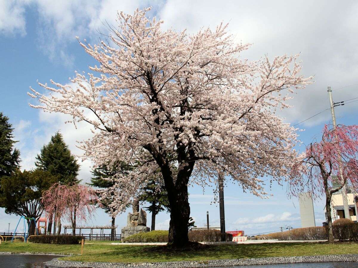 環境・風景