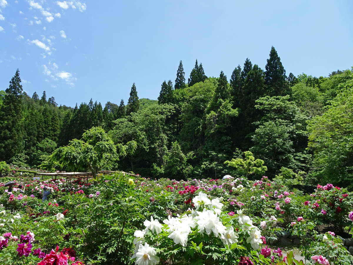 環境・風景