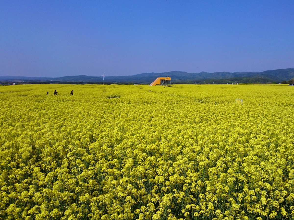 環境・風景