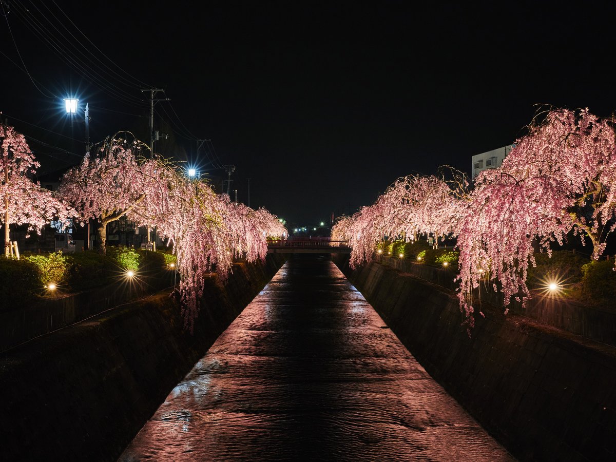 Surroundings・Views