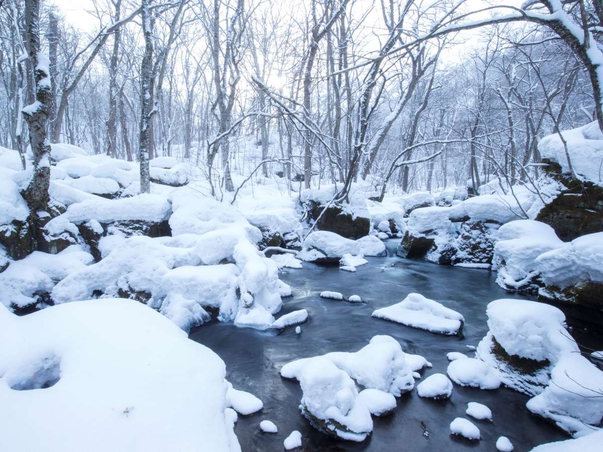 【奥入瀬渓流】冬には岩の上に雪が綿帽子のように積もり幻想的な風景となります。