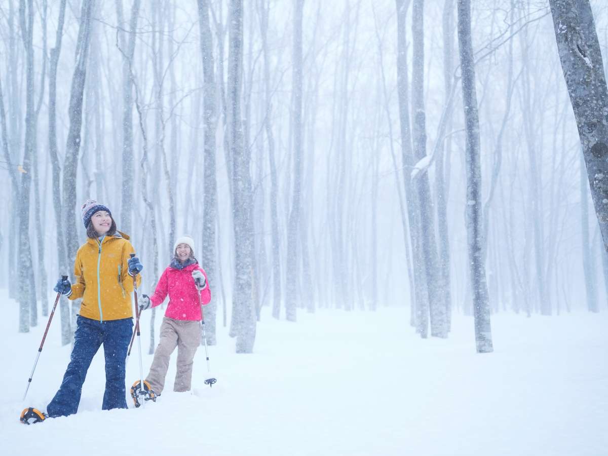 【冬の蔦沼】蔦沼をスノーシューで歩きながら幻想的な風景を楽しむアクティビティツアーを開催。