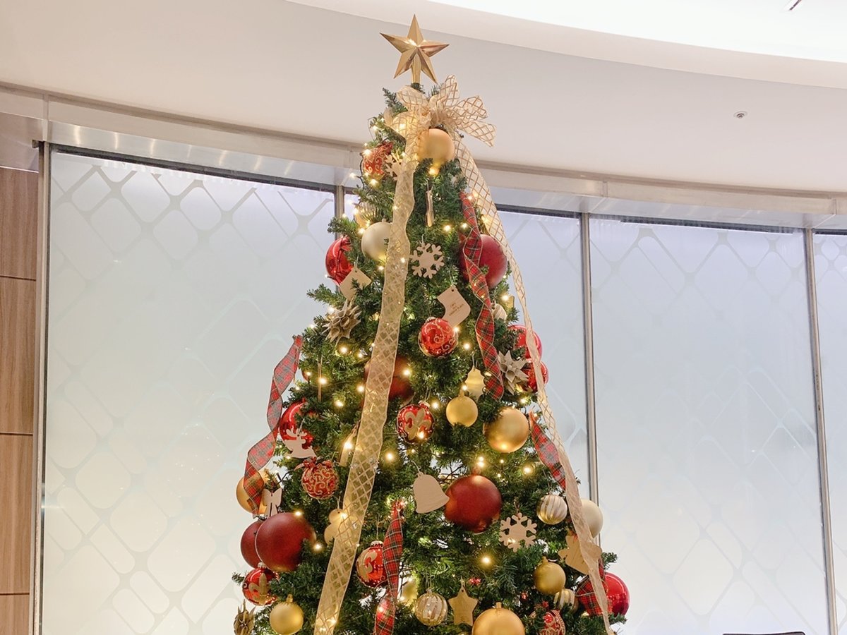 今年もクリスマスツリーがロビーで皆様をお迎えします☆