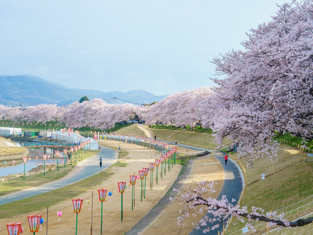 Surroundings・Views