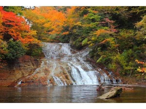 紅葉の美しい名所『粟又の滝』まで当館からすぐ近くです。