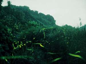 Surroundings・Views