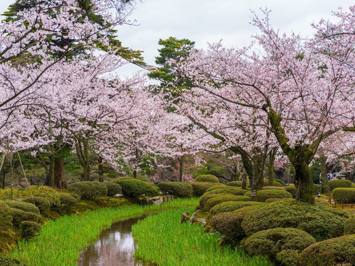 Surroundings・Views