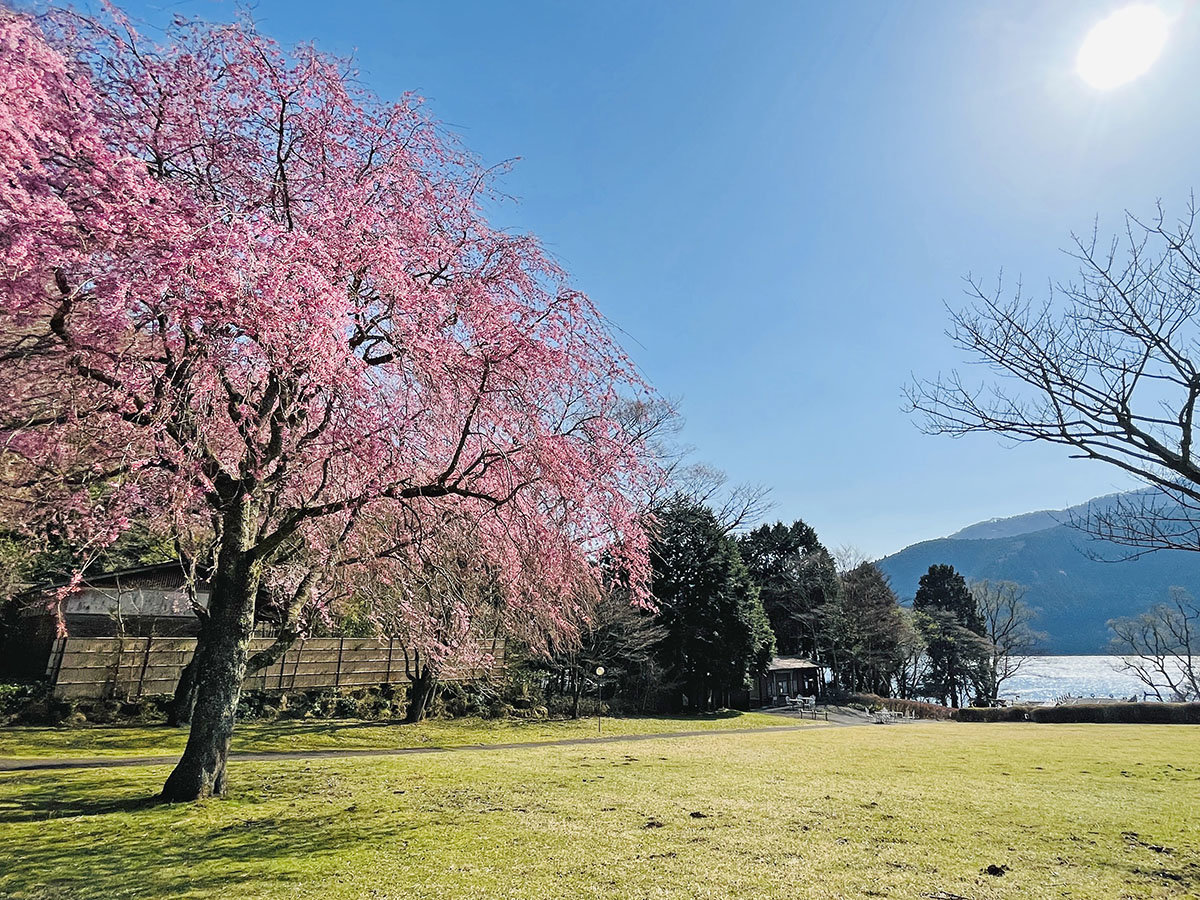 Surroundings・Views