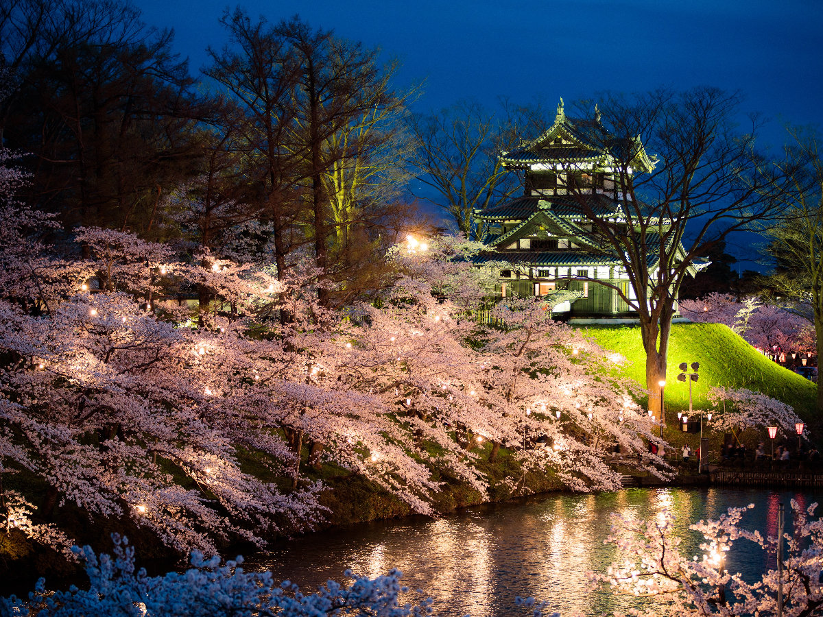 高田城址公園（車：約7分）高田城址公園のサクラは日本三大夜桜の一つ。（開花時期3月下旬から4月中旬）