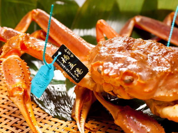 ●喜多八の活蟹●産地指定：石川県産ブランド「加能がに」冷暖と海流の温暖が激しく味も濃厚で美味
