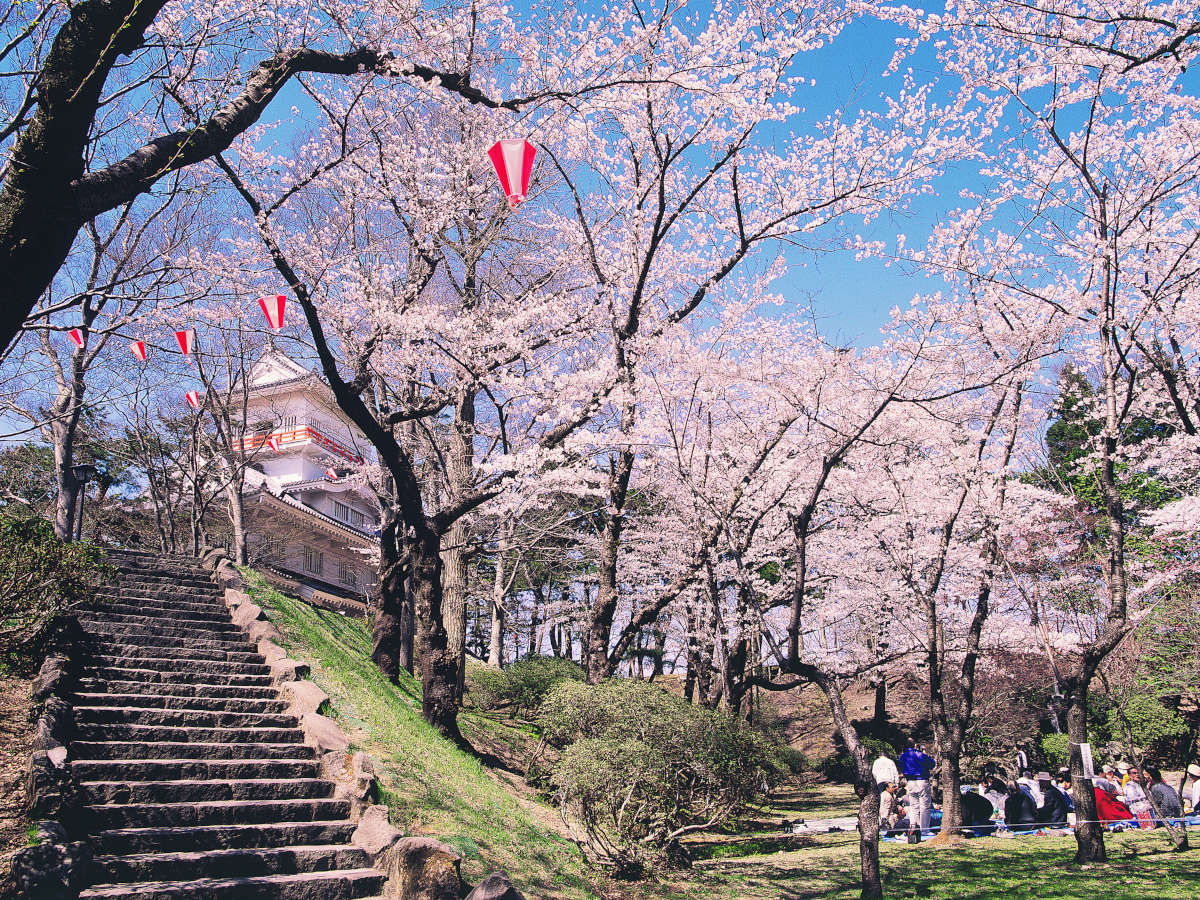 秋田市の桜の名所 千秋公園