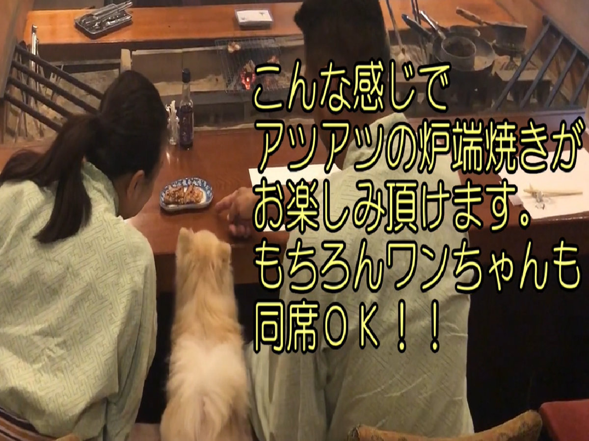 ・夕食にワンちゃん同席OK!