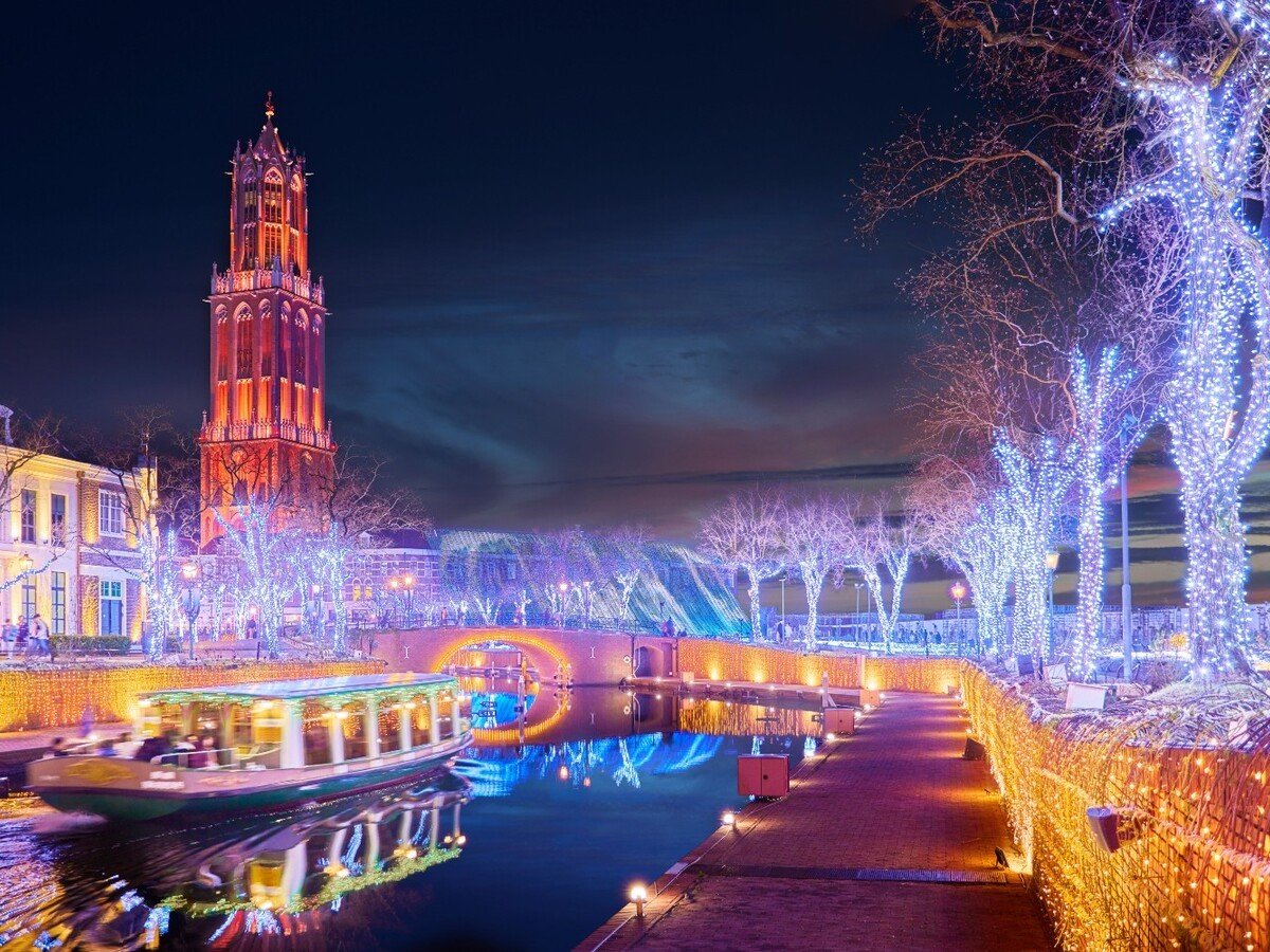 見渡す限りプラチナカラーに輝く光の幻想世界。（※昨年の様子）