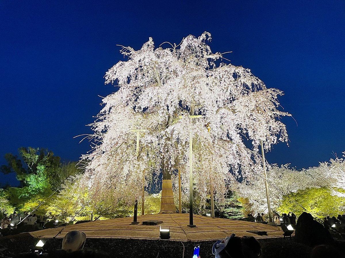 環境・風景