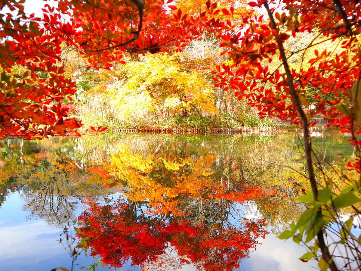 雲場池／当ホテルより車で約4分／秋は湖面を染める美しい秋の朱色と爽やかな空の青が最大の魅力。