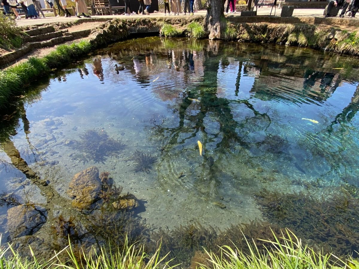 【周辺施設】忍野八海【車で約10分】