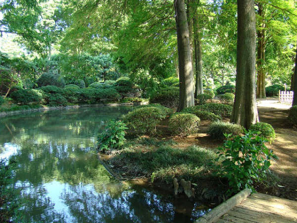 Surroundings・Views