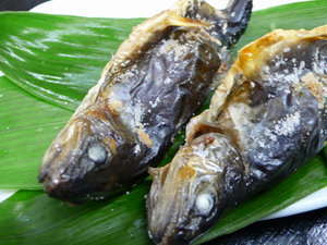岩魚料理もいろいろです。気ままな主人の調理法でどうぞ。