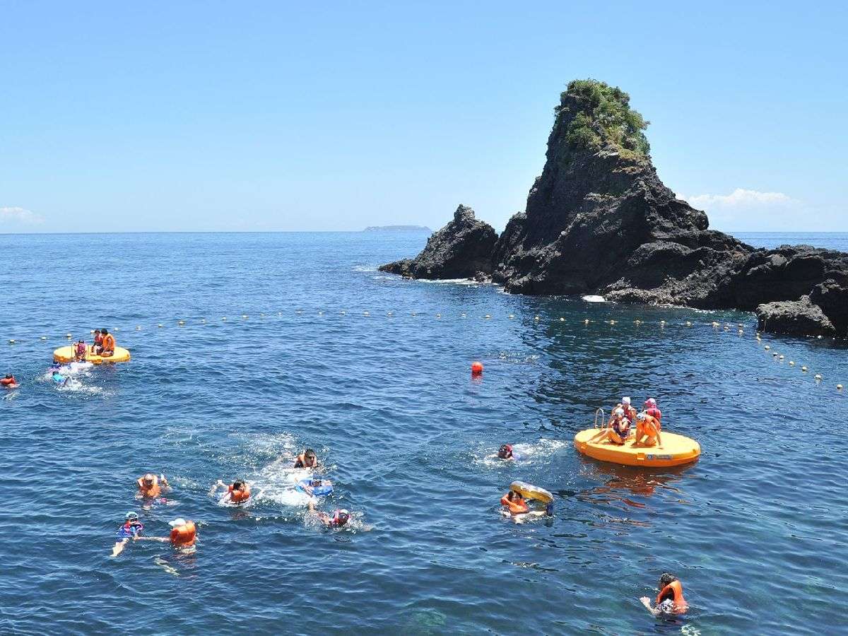 �y�I�[�V�����v�[���z�C���d�؂����V�R�v�[���􁦊C�m�󋵂ɂ�蒆�~�̏ꍇ�L��