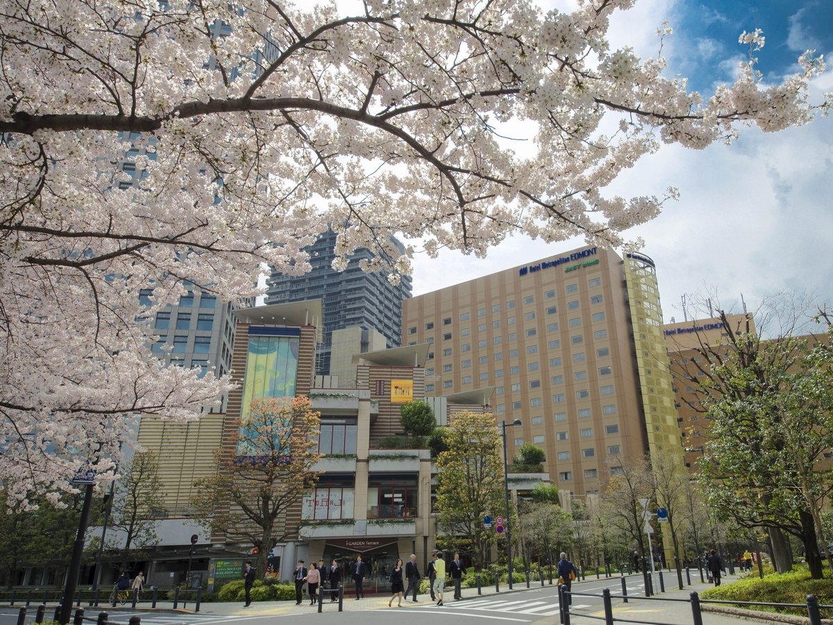 春には、ホテルの近くで桜がご覧いただけます。