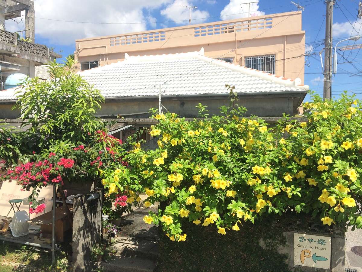 沖縄古民家の瓦屋根外観。緑の草花に囲まれて趣あります。