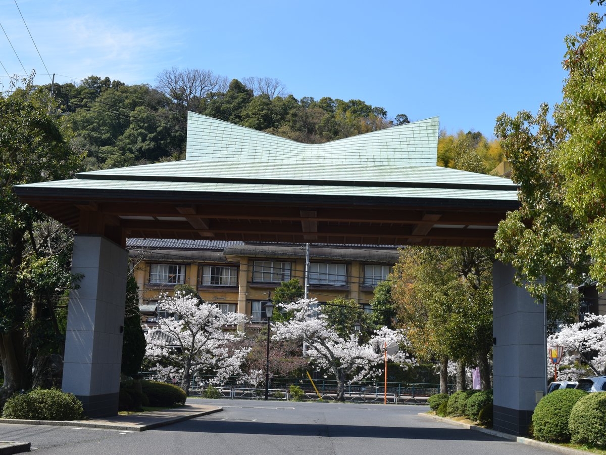 外觀