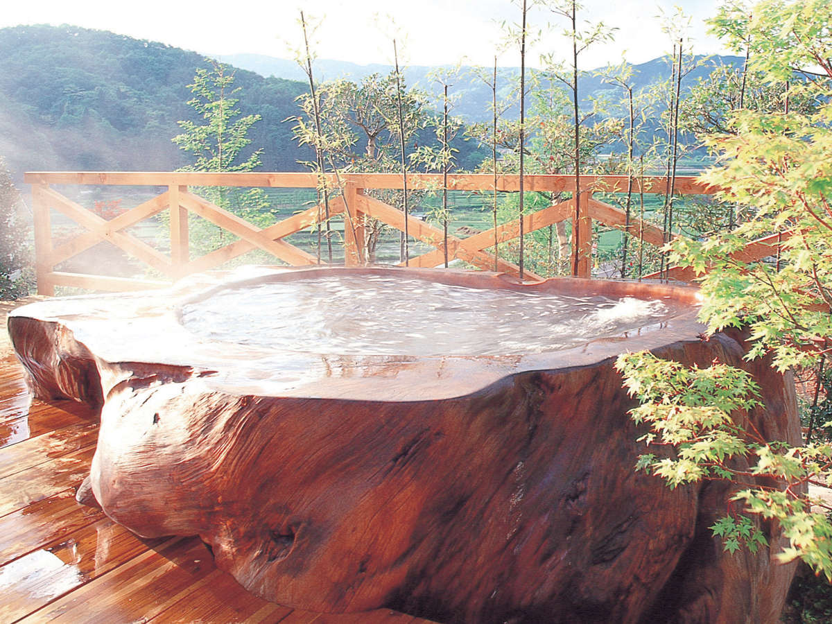 *【モンスターバス】45000年前の巨木でつくった浴槽です！