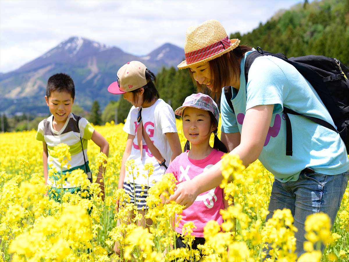ハーブ園 菜の花畑(5月上旬〜中旬頃)