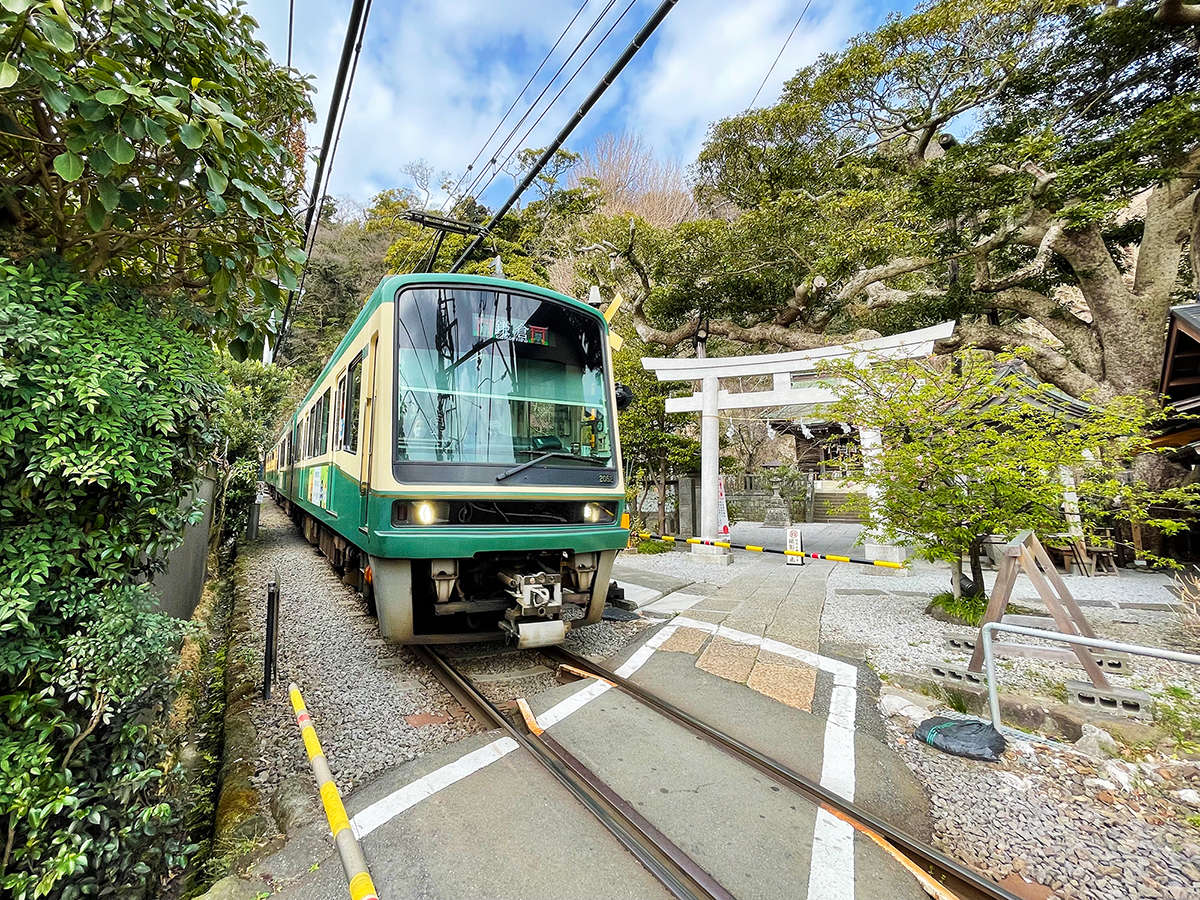 Surroundings・Views