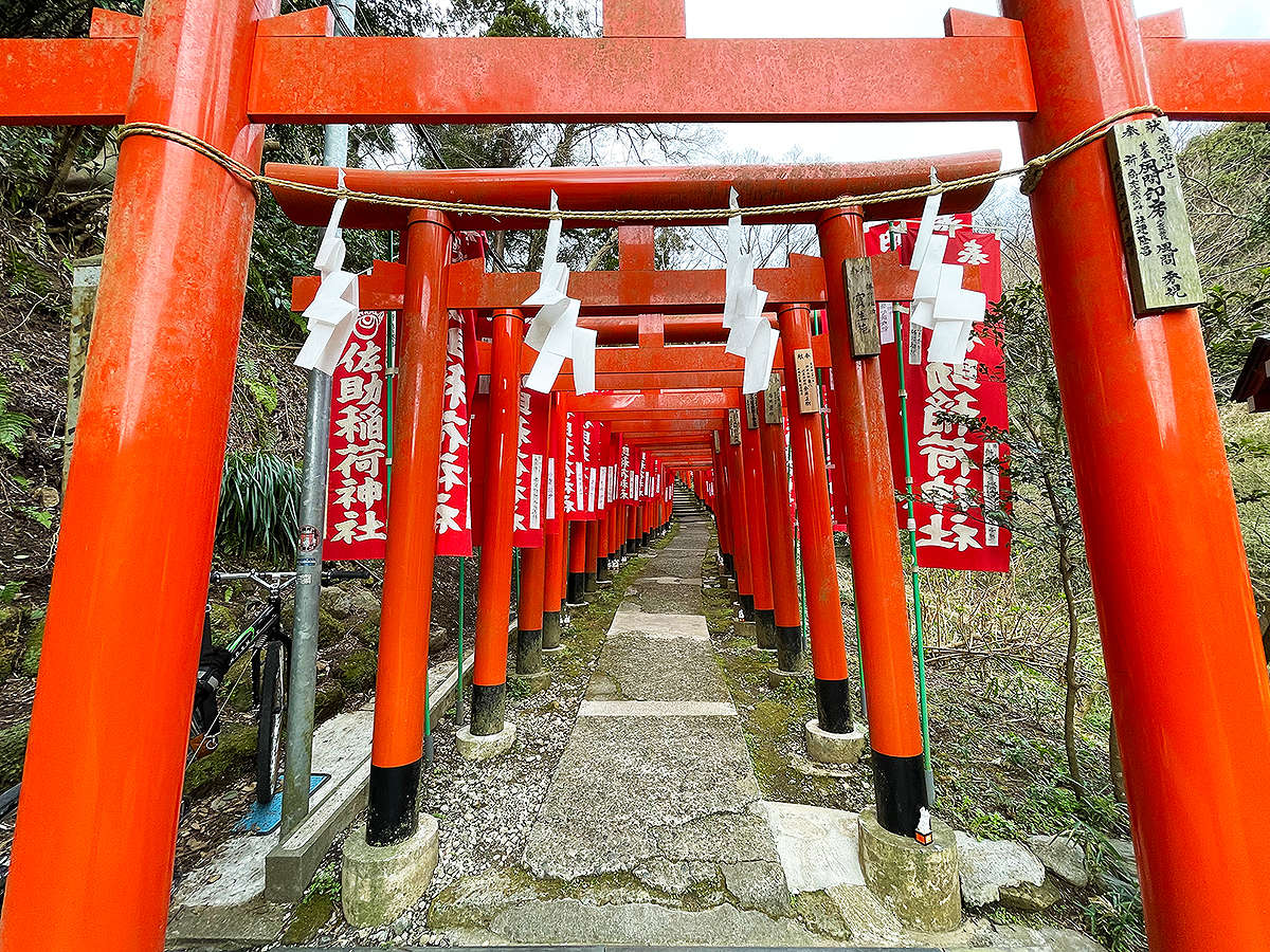 Surroundings・Views