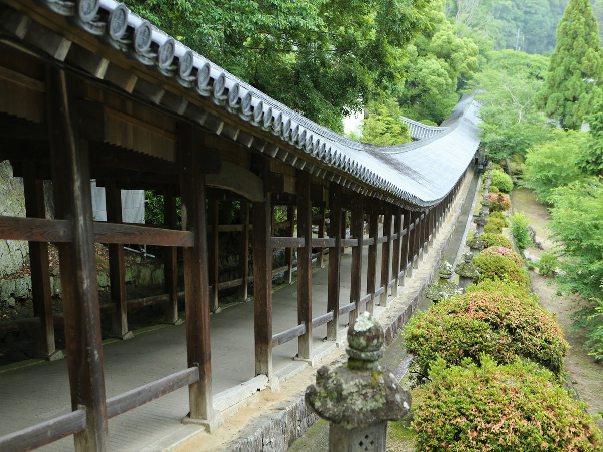 Surroundings・Views