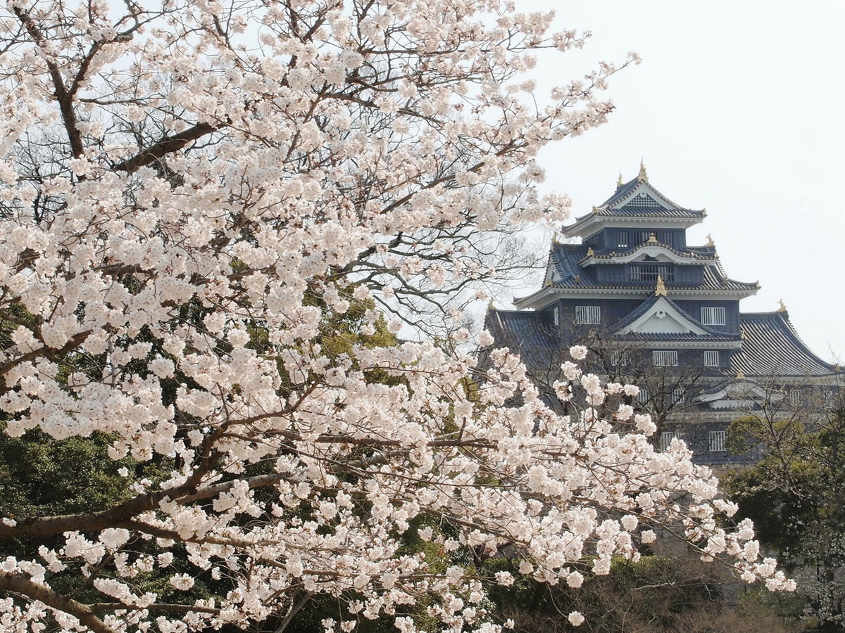 Surroundings・Views