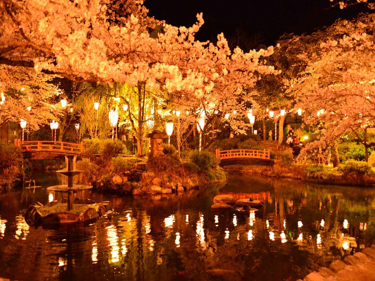 Blossom сайт. Префектура Тоттори. Япония город Tottori. Япония Вест. Японский сад бонсай на Восходе.